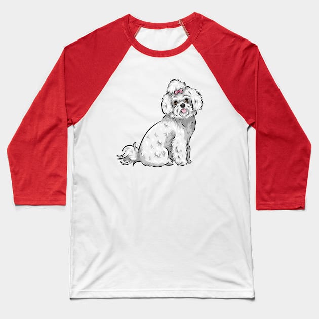 Cute Maltese Dog Baseball T-Shirt by Shirin Illustration